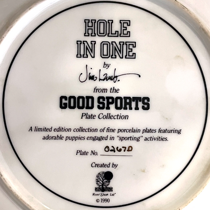 Hole in One From Good Sports Wall Plate - EA42